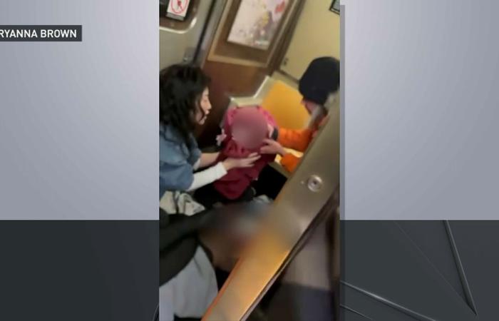 Mother
      gives
      birth
      to
      baby
      girl
      while
      aboard
      subway
      in
      Manhattan - Iqraa news