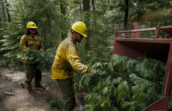 Trump's
      layoffs
      raise
      the
      risk
      of
      wildfires
      in
      the
      West,
      according
      to
      workers - Iqraa news