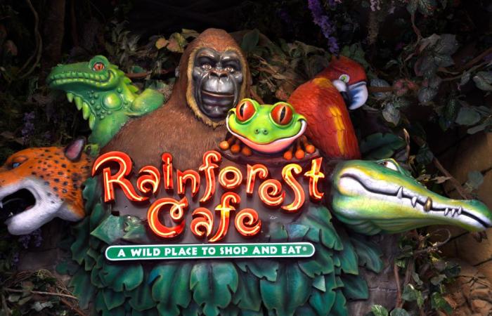 Rainforest
      Cafe
      closes
      popular
      central
      NJ
      location;
      only
      one
      remains
      in
      state - Iqraa news