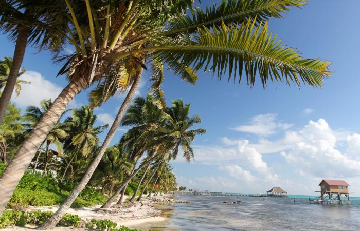 3
      American
      women
      found
      dead
      in
      hotel
      at
      Belize
      beach
      resort - Iqraa news