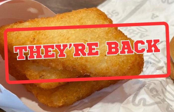 Arby’s Brings Back Potato Cakes for Good — Or They’ll Sue Themselves - Iqraa news