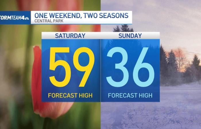 New
      York
      feeling
      like
      spring,
      for
      now:
      Tri-state
      weekend
      forecast - Iqraa news