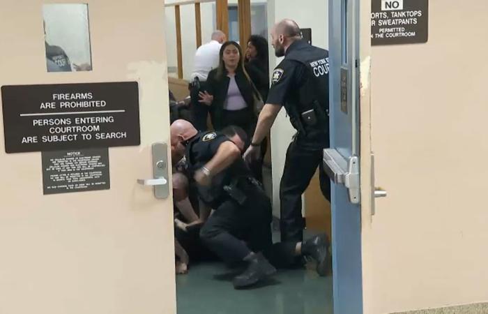 Wild
      melee
      breaks
      out
      at
      Long
      Island
      courtroom
      after
      alleged
      murder
      suspect's
      hearing - Iqraa news