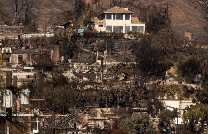 California
      fire
      victims
      are
      in
      limbo
      as
      they
      wait
      for
      insurance
      payouts - Iqraa news