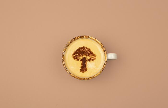 What
      is
      mushroom
      coffee
      and
      are
      there
      any
      health
      benefits? - Iqraa news