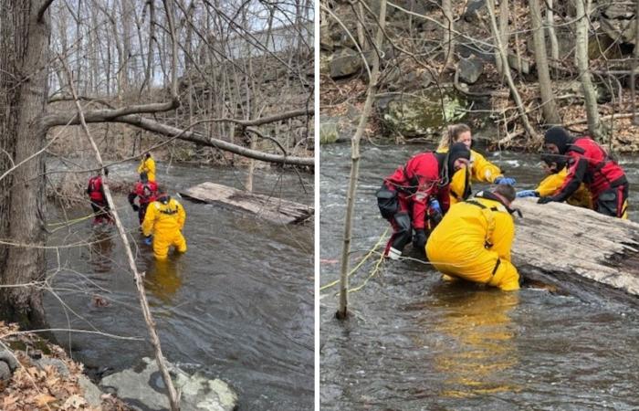 Police
      conduct
      investigation
      after
      body
      found
      in
      Norwalk
      River - Iqraa news