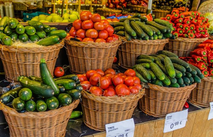 These 10 States Produce the Most Food in the U.S. - Iqraa news