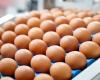 As
      egg
      prices
      soar,
      grocers
      like
      Trader
      Joe's
      limit
      how
      many
      cartons
      customers
      can
      buy - Iqraa news