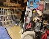 Nearly
      50
      dogs,
      cats
      and
      a
      bird
      found
      living
      in
      squalid
      conditions
      at
      Long
      Island
      home - Iqraa news