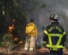 South
      Carolina
      governor
      declares
      state
      of
      emergency
      as
      wildfires
      erupt
      in
      Carolinas,
      Georgia - Iqraa news